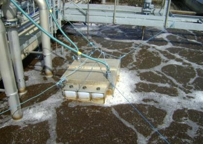 Avhandling (UU): Ammonium feedback control in wastewater treatment plants Kommande rapporter/publikationer: IVL-rapport (inom en månad): Deammonification Synthesis report 2014 - R&D at Hammarby