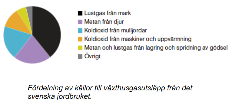 Lustgas N 2 O stark koppling till