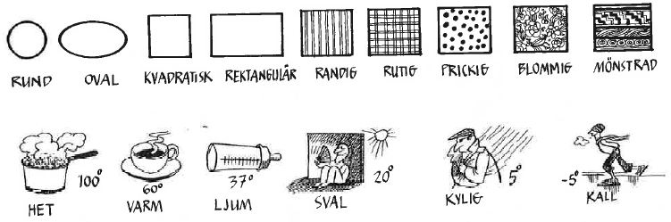 Det är en tjock person. Personen är tjock. Det är en smal individ. Individen är smal. Det är en bra idrottsman. Idrottsmannen är bra. Det är en dålig människa. Människan är dålig. Det är en rak spik.