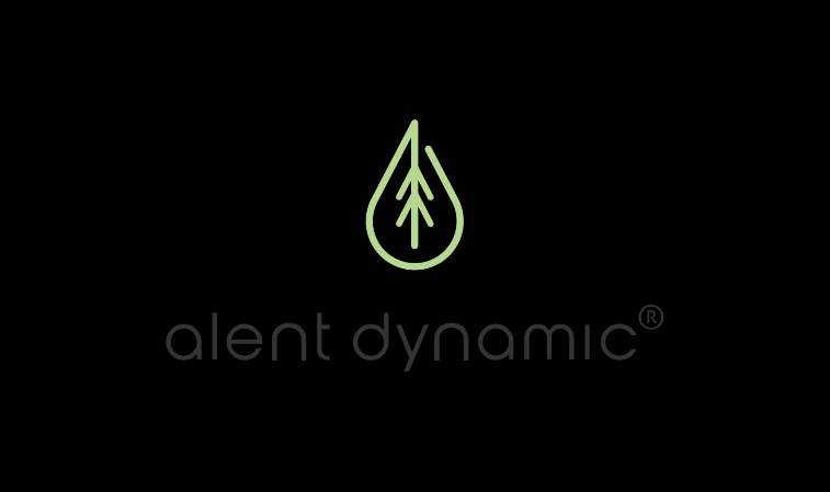 Alent Academy 24-25