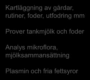 Gårdar Kartläggning av gårdar, rutiner, foder, utfodring mm Prover tankmjölk och