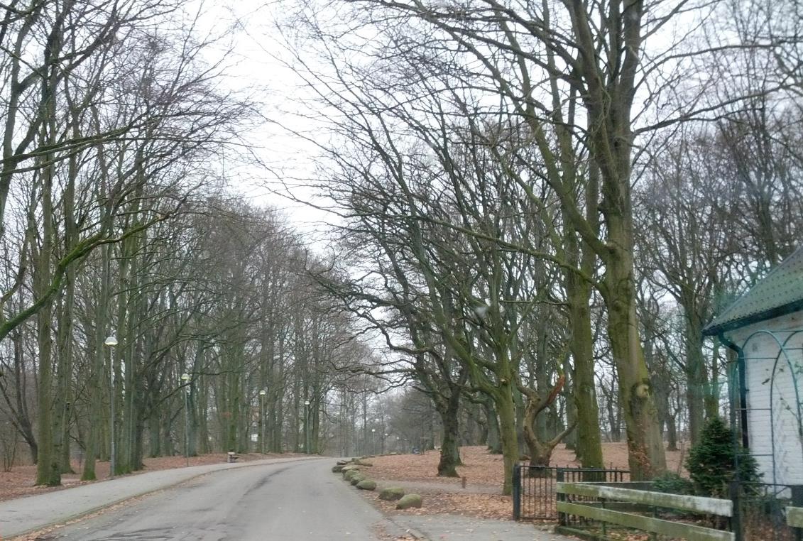 6.3.2.5 Tät skog Tät skog används då det finns vegetation nära ena eller båda sidor av vägen. Kan ha överhängande grenar.