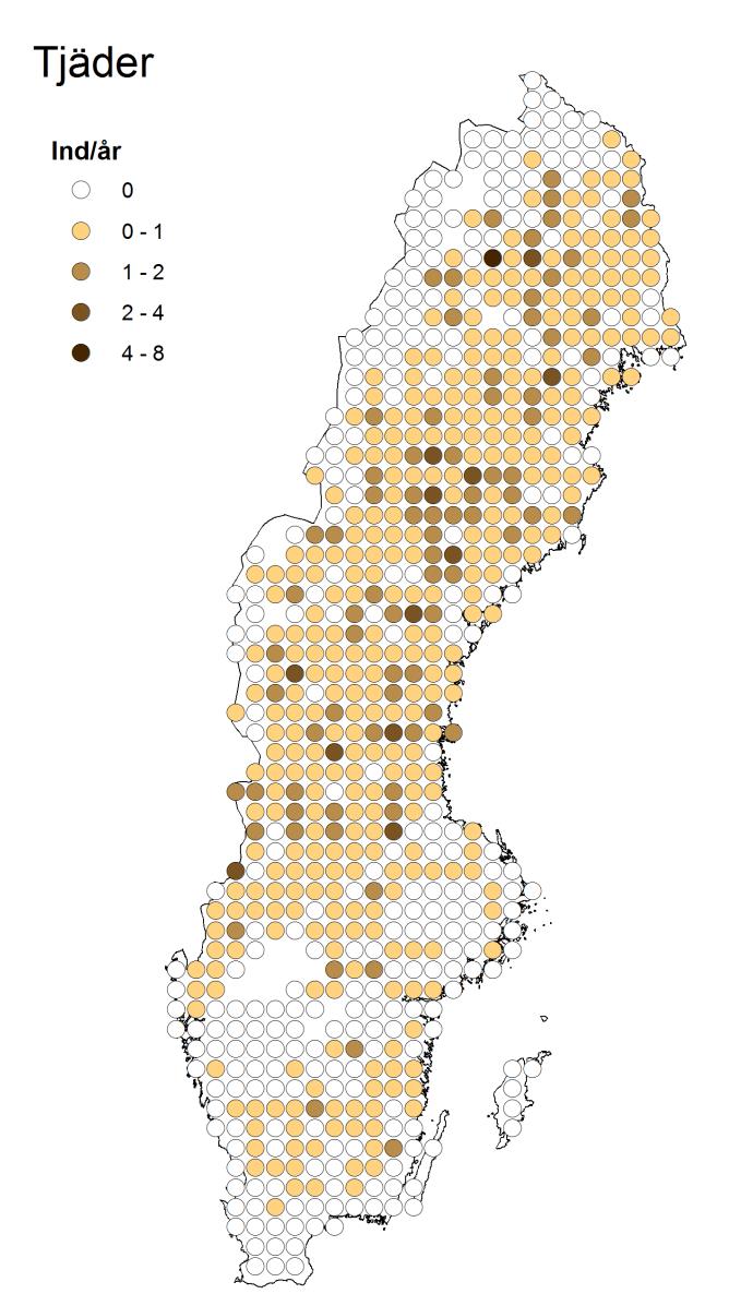 Med standardrutterna växte en ny bild fram 2.0 Tjäder, Tetrao urogallus - (159, 1,4, *) 1.5 1.0 0.5 0.