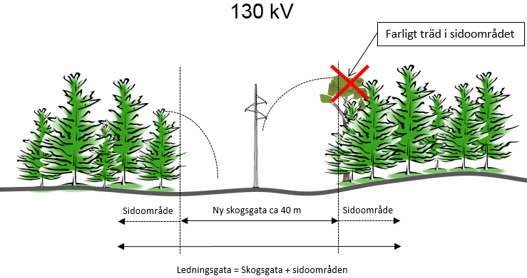 En ledningssträckning inom stråket bedöms preliminärt bli ca 12 km lång och kommer i sin helhet att uppföras i obruten skogsterräng. 3.