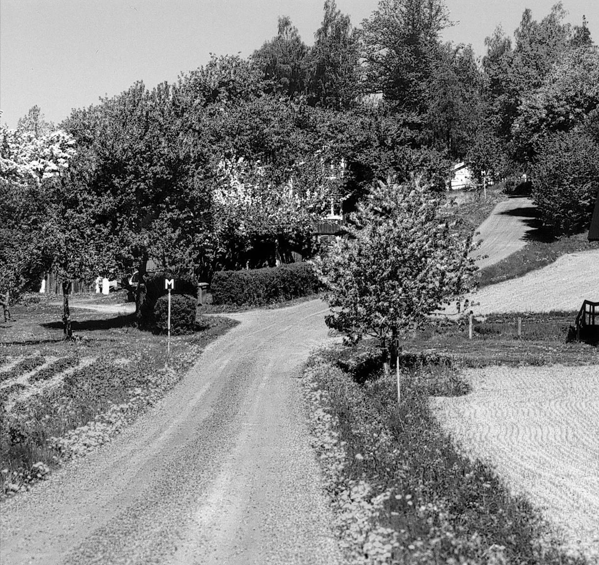 Hur stor förbättringspotential?