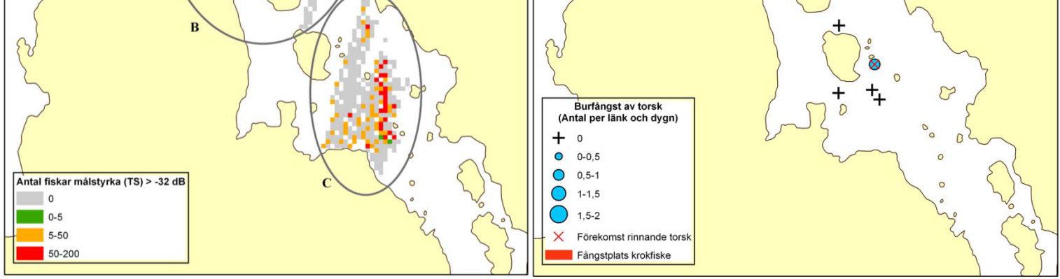 Inventeringarna användes för att peka ut möjliga avgränsningar för de fiskefria områdena. De utpekade områdena överensstämde med tidigare viktiga fångstplatser för bland annat torsk.
