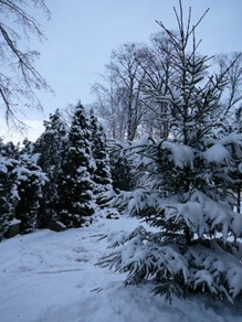 25 januari Musik: Spår i snön Lyssna till musikstycket Spår i snön under temat Musik/Tystnad/Bön. Håkan Falk på piano. Arrangör: Svenska kyrkan, Svalövsbygdens pastorat När: Onsdag 25 januari kl. 19.