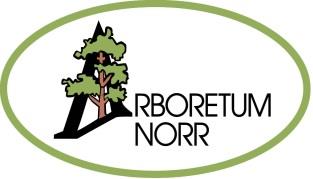 Ordet arboretum kan härledas från latinets arbor, som betyder träd. Förenklat kan man säga att ett arboretum är som en botanisk a trädgård Väg 92 med baggböle endast sockenvägen träd och buskar.
