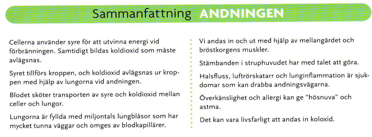 Grundbok s. 216 och framåt. Uppgift 6 Andningen Fokusboken s.
