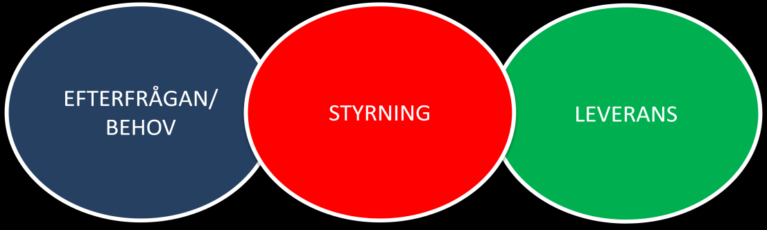 SID 13(24) verksamheter. För att skapa ett maximal medborgarnytta och verksamhetsnytta behöver utvecklingen styras upp på ett tydligt sätt.