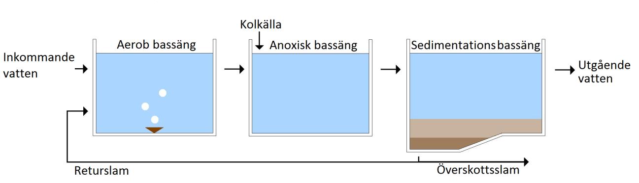 Att använda nitrat som oxidationsmedel är mindre energieffektivt än att använda syre, varför denitrifierande bakterier fördrar att använda syre då detta finns tillgängligt (Carlsson & Hallin, 2003).
