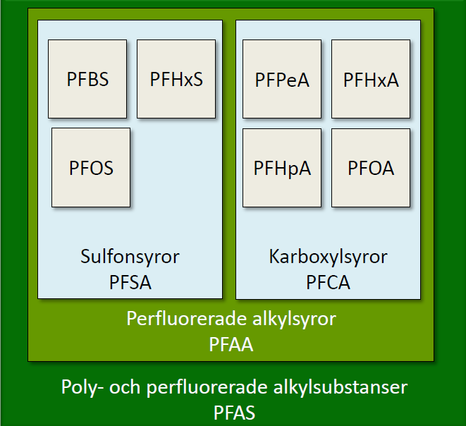PFAA Perfluorerade alkylsyror PFAS poly- och perfluorerade alkylsubstanser PFC Perfluorinated organic compunds