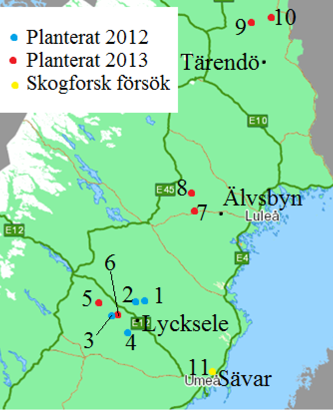 2), södra Norrbotten (7, 8) och norra Norrbotten (9, 10) (Figur 1 samt Bilaga 1). Tre provenienser av tallfrö (Pinus sylvestris) användes, anpassade för varje resultatområde.