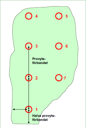 10 förband om 50 m. Förbandet för lokaler upp till 5 hektar räknades ut med nedanstående formel. Förband = Varje provyta var en cirkel med en yta av 10 m 2.