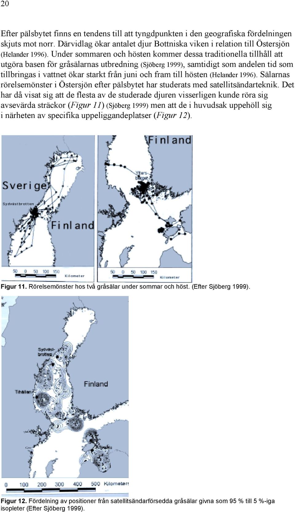 fram till hösten (Helander 1996). Sälarnas rörelsemönster i Östersjön efter pälsbytet har studerats med satellitsändarteknik.