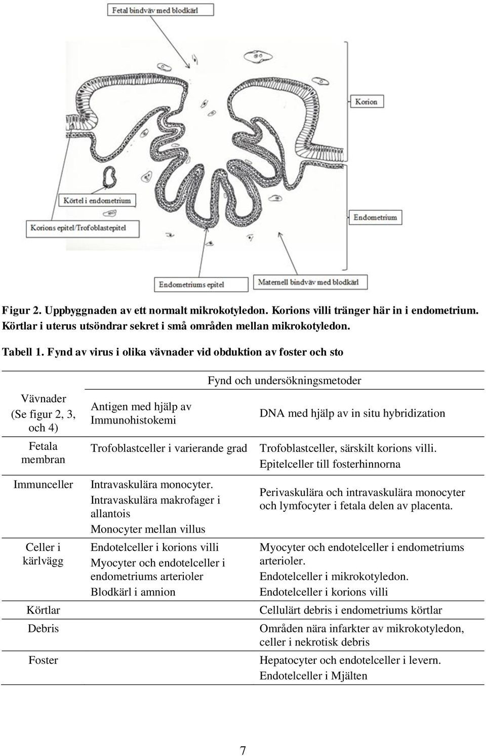 Trofoblastceller i varierande grad Intravaskulära monocyter.