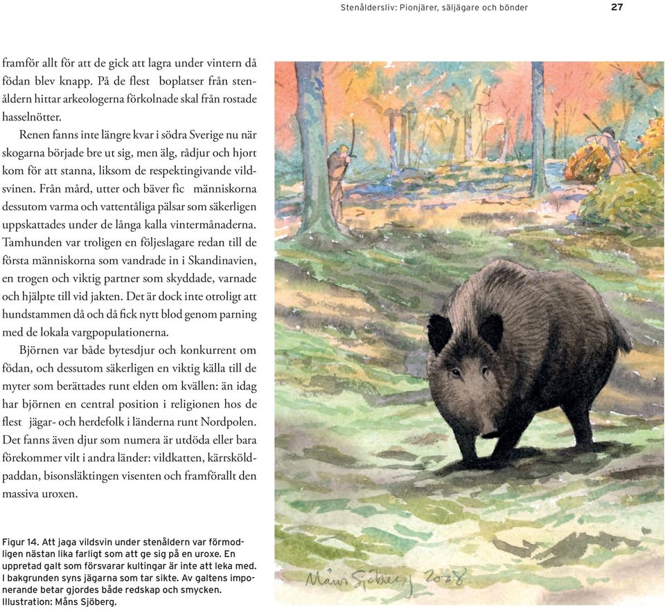 Renen fanns inte längre kvar i södra Sverige nu när skogarna började bre ut sig, men älg, rådjur och hjort kom för att stanna, liksom de respektingivande vildsvinen.