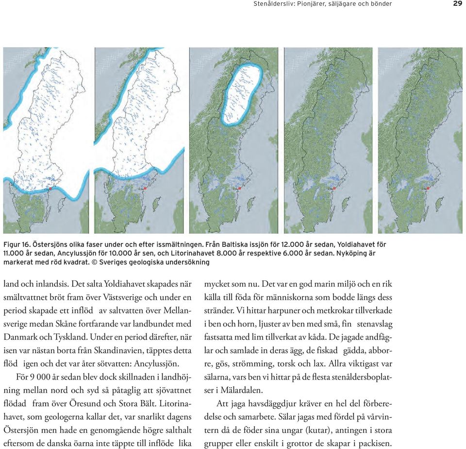 Det salta Yoldiahavet skapades när smältvattnet bröt fram över Västsverige och under en period skapade ett inflöd av saltvatten över Mellansverige medan Skåne fortfarande var landbundet med Danmark