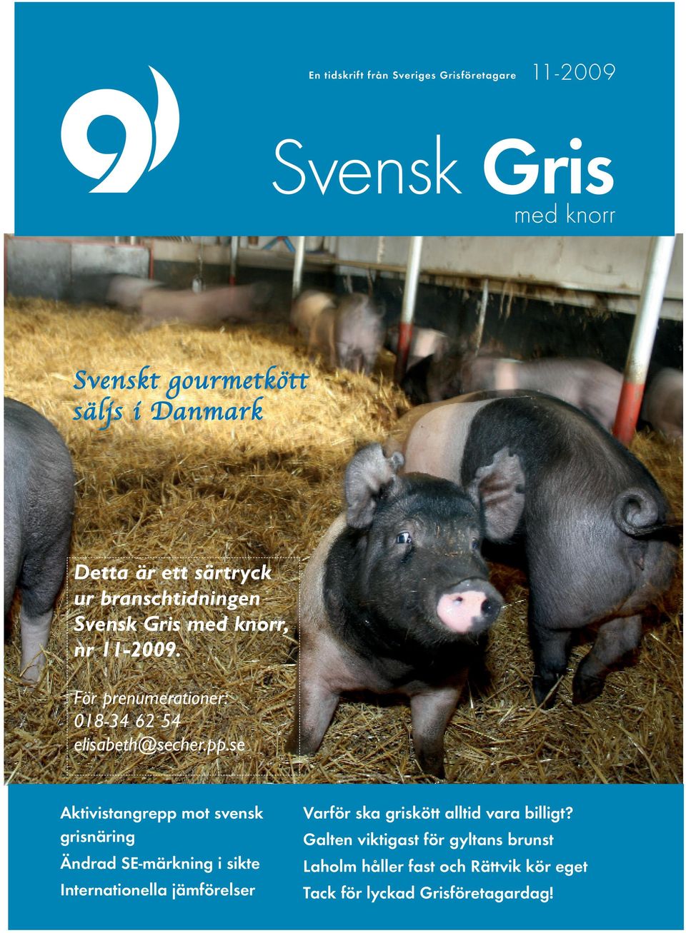 se Aktivistangrepp mot svensk grisnäring Ändrad SE-märkning i sikte Internationella jämförelser Varför ska griskött alltid