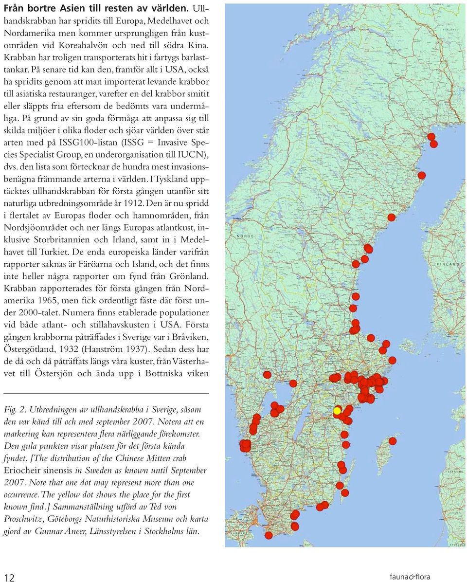 På senare tid kan den, framför allt i USA, också ha spridits genom att man importerat levande krabbor till asiatiska restauranger, varefter en del krabbor smitit eller släppts fria eftersom de