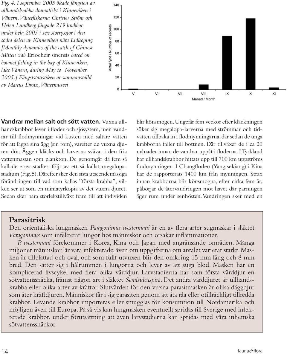 [Monthly dynamics of the catch of Chinese Mitten crab Eriocheir sinensis based on bownet fishing in the bay of Kinneviken, lake Vänern, during May to November 2005.