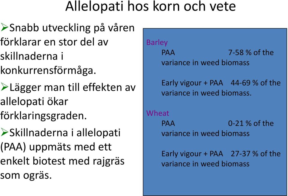 Skillder i allelopati (PAA) uppmäts med ett enkelt biotest med rajgräs som ogräs.