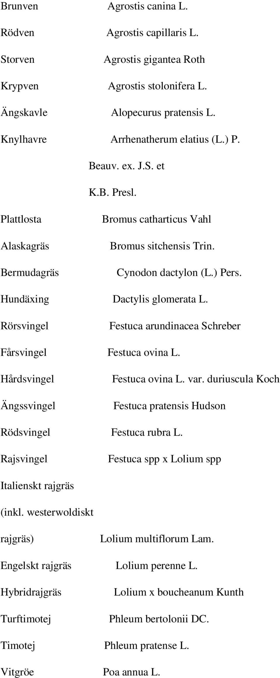 Rörsvingel Festuca arundinacea Schreber Fårsvingel Festuca ovina L. Hårdsvingel Ängssvingel Festuca ovina L. var. duriuscula Koch Festuca pratensis Hudson Rödsvingel Festuca rubra L.