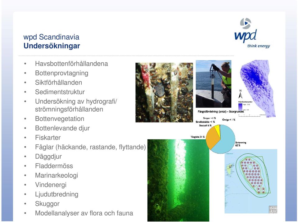 Bottenvegetation Bottenlevande djur Fiskarter Fåglar (häckande, rastande, flyttande)