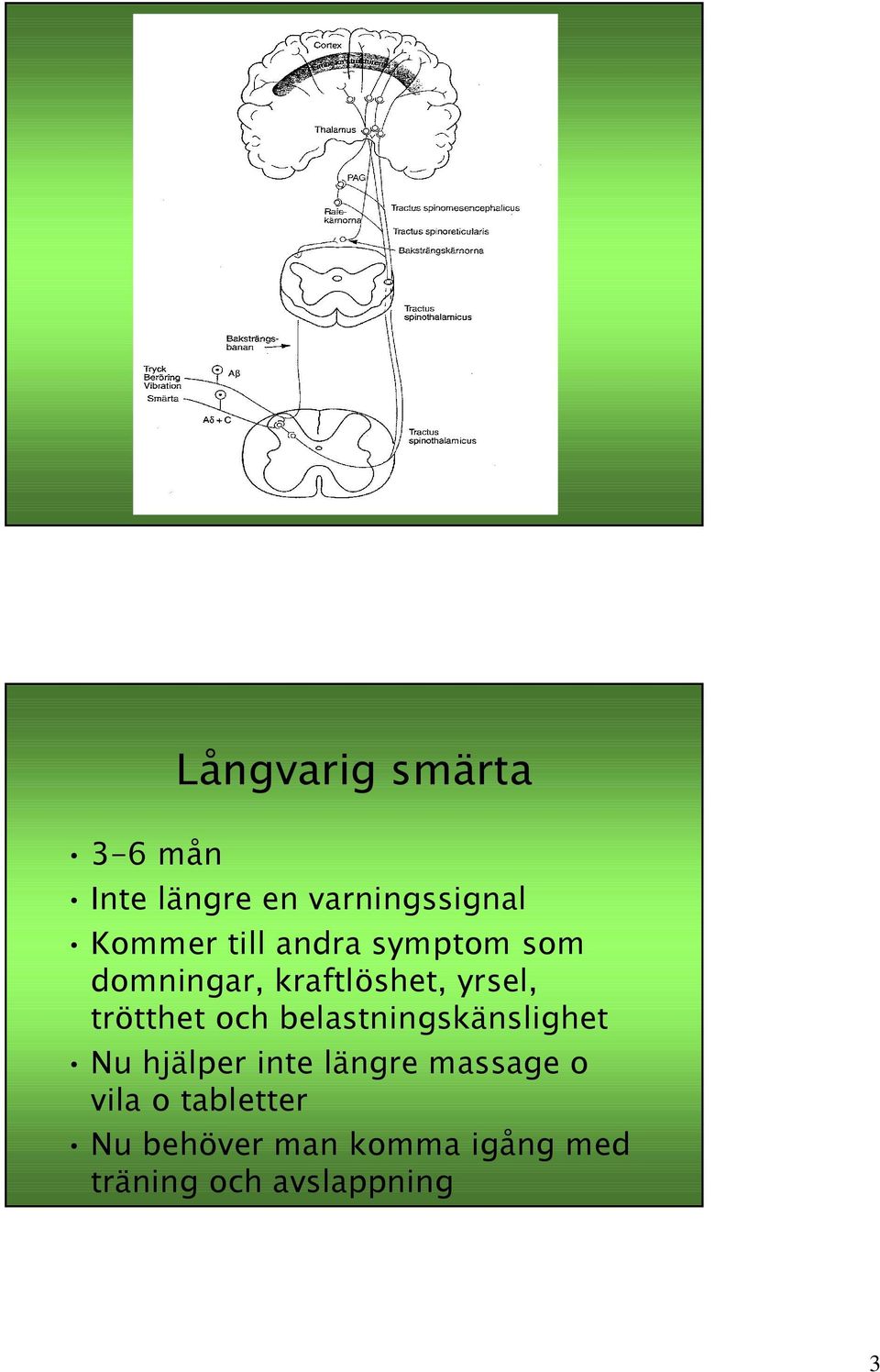 och belastningskänslighet Nu hjälper inte längre massage o vila