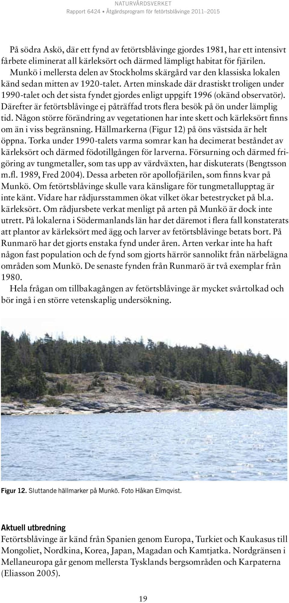Arten minskade där drastiskt troligen under 1990-talet och det sista fyndet gjordes enligt uppgift 1996 (okänd observatör).