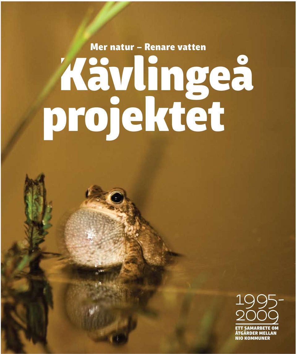 ETT SAMARBETE OM