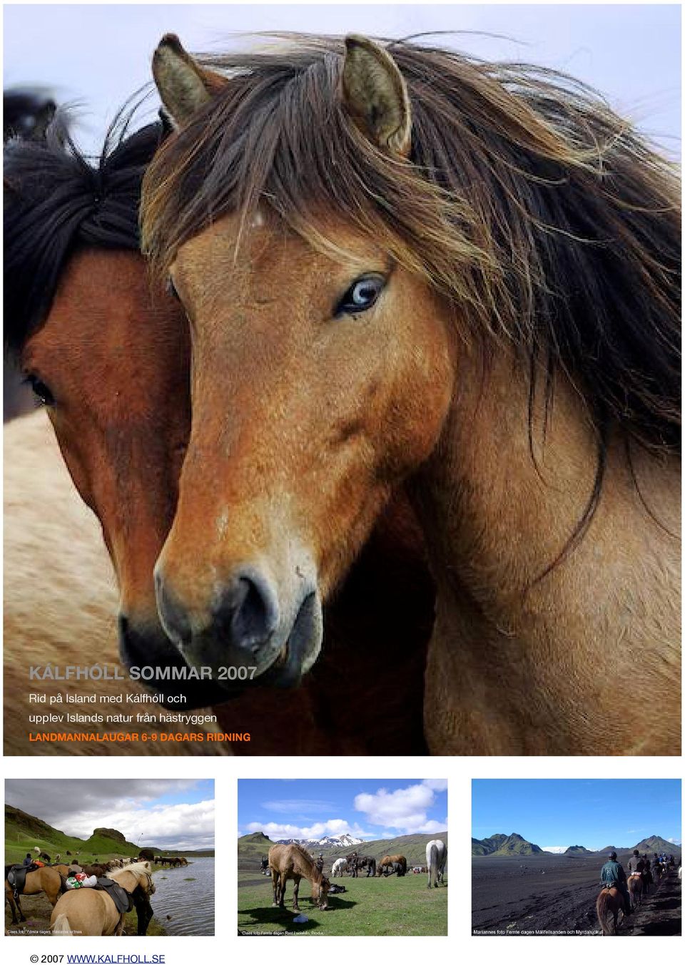 Islands natur från hästryggen