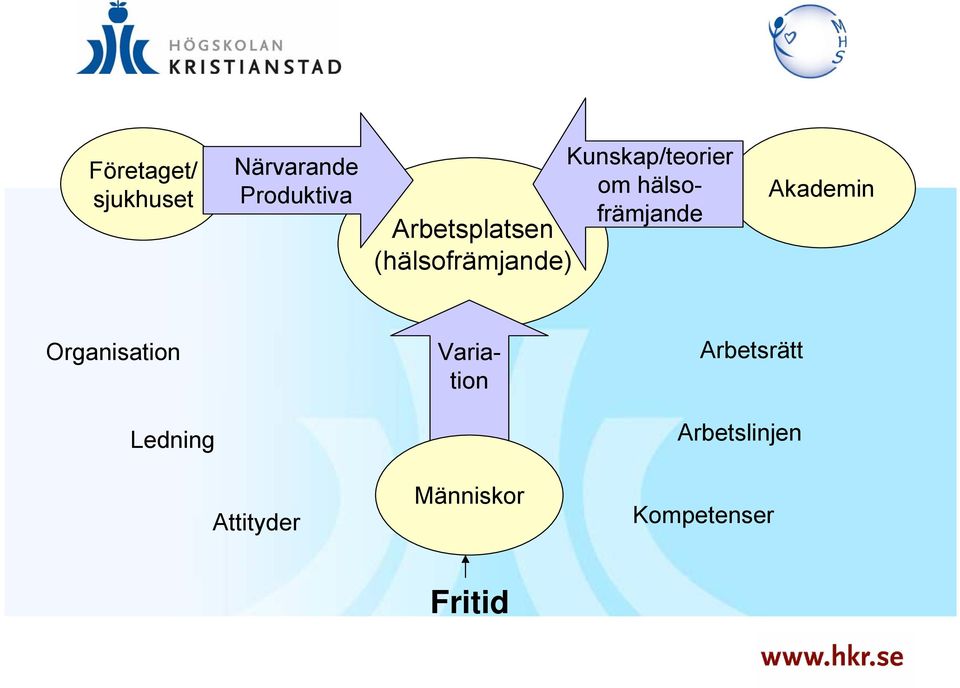 (hälsofrämjande) Akademin Organisation Ledning