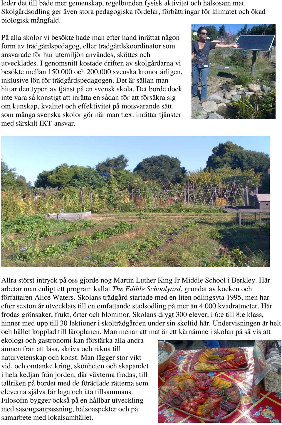 I genomsnitt kostade driften av skolgårdarna vi besökte mellan 150.000 och 200.000 svenska kronor årligen, inklusive lön för trädgårdspedagogen.