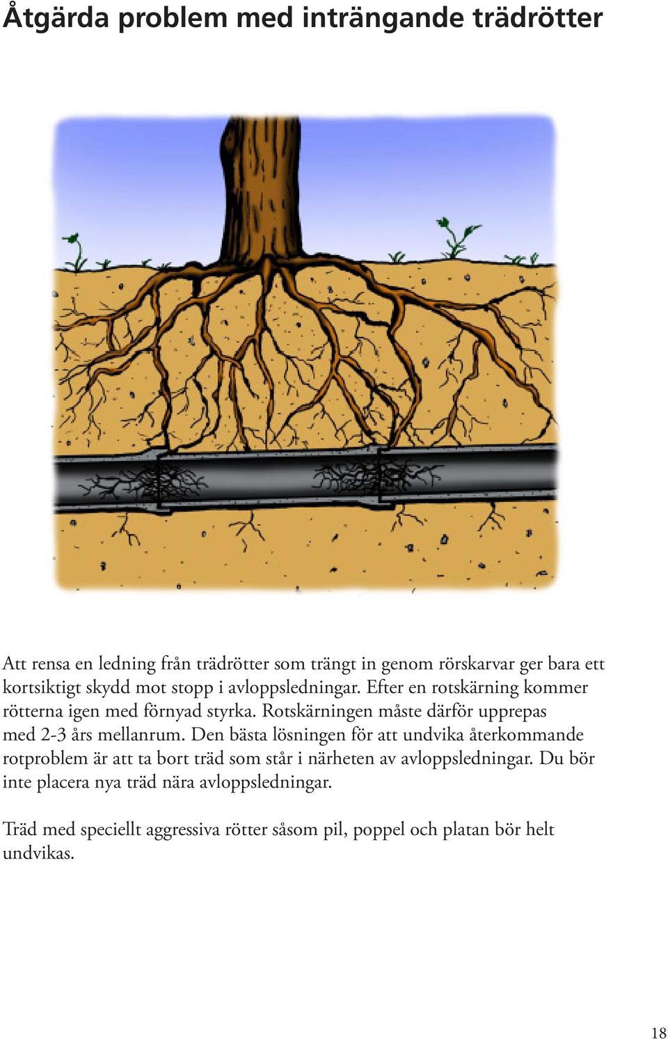 Rotskärningen måste därför upprepas med 2-3 års mellanrum.