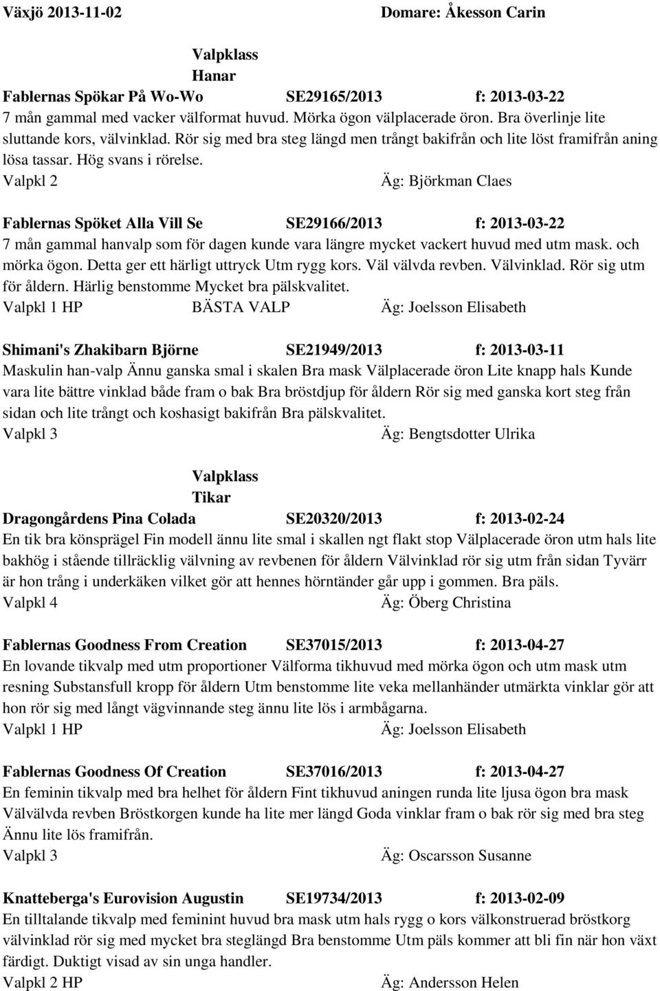 Valpkl 2 Äg: Björkman Claes Fablernas Spöket Alla Vill Se SE29166/2013 f: 2013-03-22 7 mån gammal hanvalp som för dagen kunde vara längre mycket vackert huvud med utm mask. och mörka ögon.