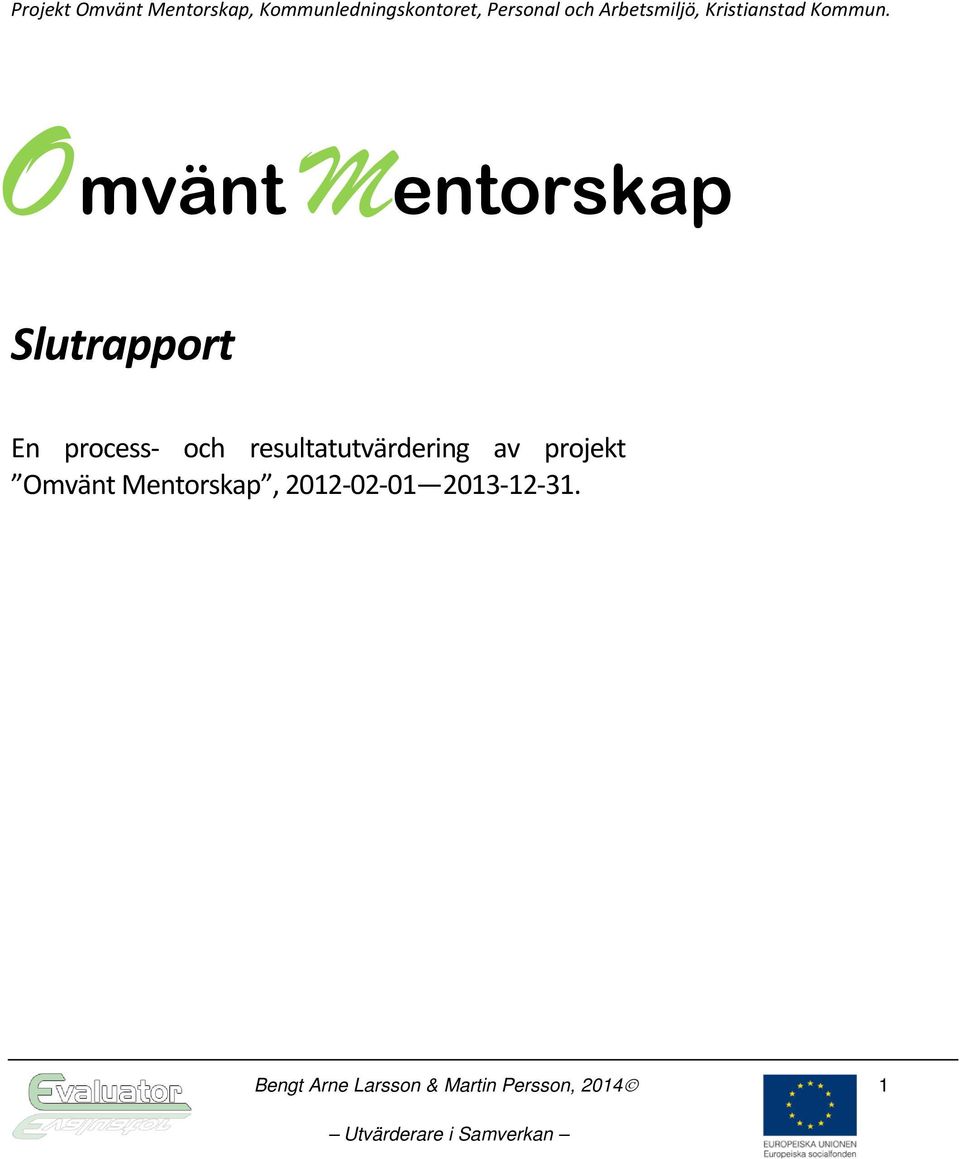 Omvänt Mentorskap Slutrapport En process- och