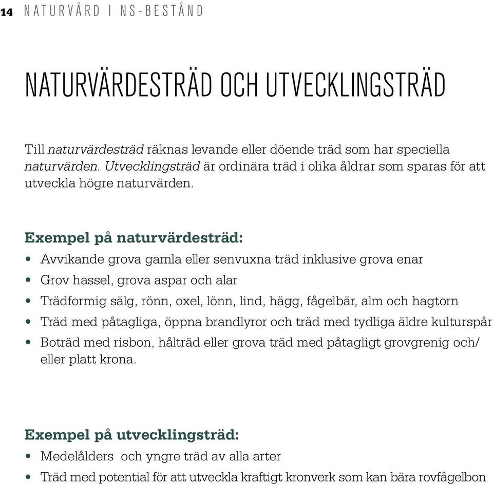 Exempel på naturvärdesträd: Avvikande grova gamla eller senvuxna träd inklusive grova enar Grov hassel, grova aspar och alar Trädformig sälg, rönn, oxel, lönn, lind, hägg, fågelbär, alm