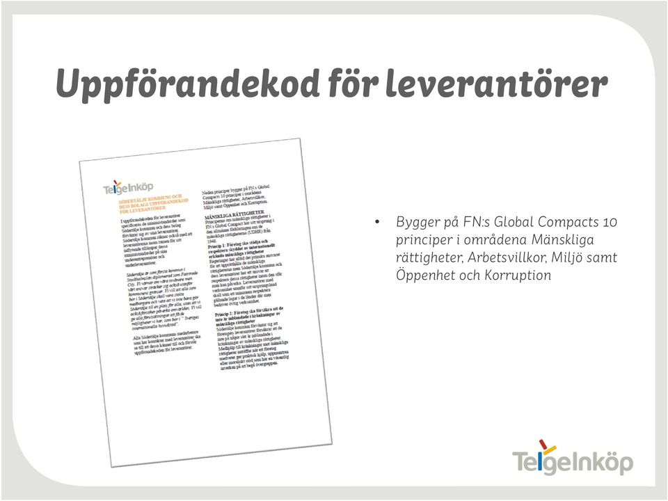 områdena Mänskliga rättigheter,