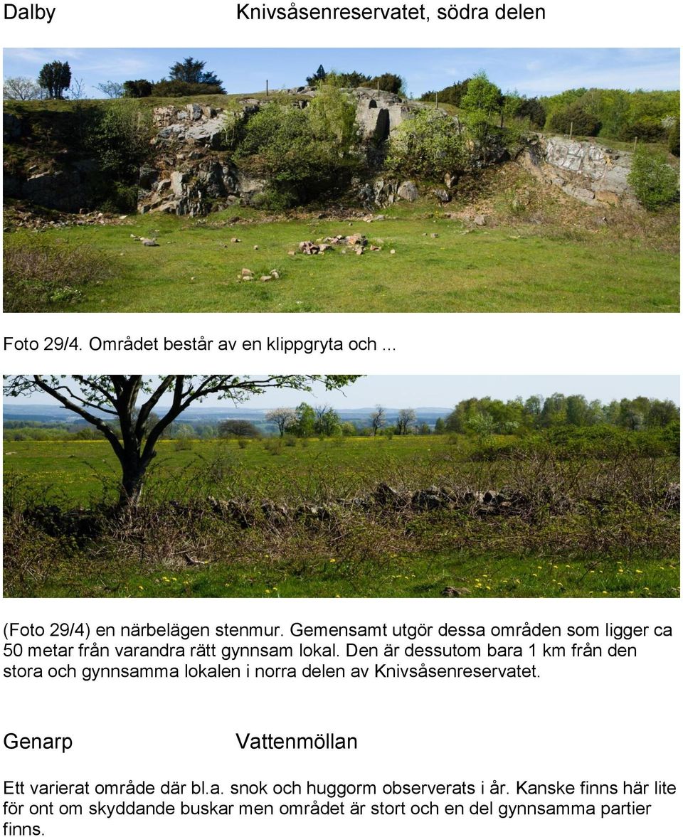 Den är dessutom bara 1 km från den stora och gynnsamma lokalen i norra delen av Knivsåsenreservatet.