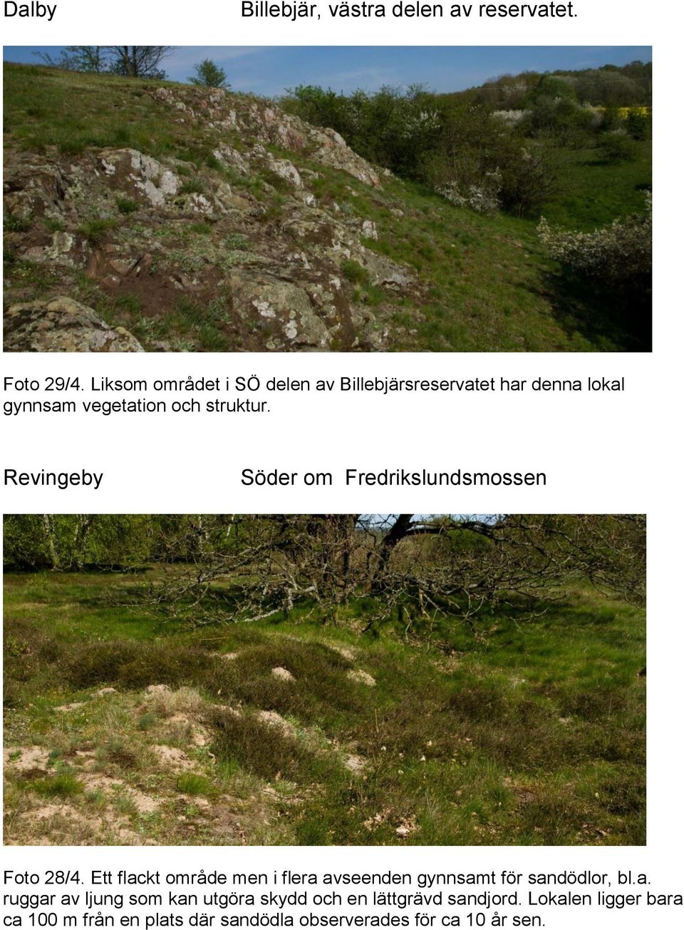 Revingeby Söder om Fredrikslundsmossen Foto 28/4.