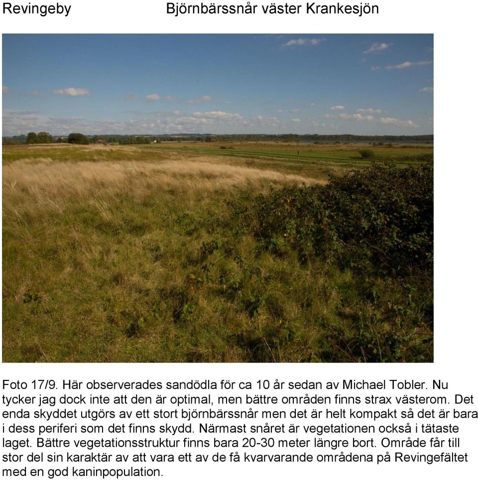 Det enda skyddet utgörs av ett stort björnbärssnår men det är helt kompakt så det är bara i dess periferi som det finns skydd.