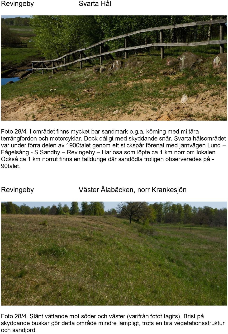 norr om lokalen. Också ca 1 km norrut finns en talldunge där sandödla troligen observerades på - 90talet. Revingeby Väster Ålabäcken, norr Krankesjön Foto 28/4.