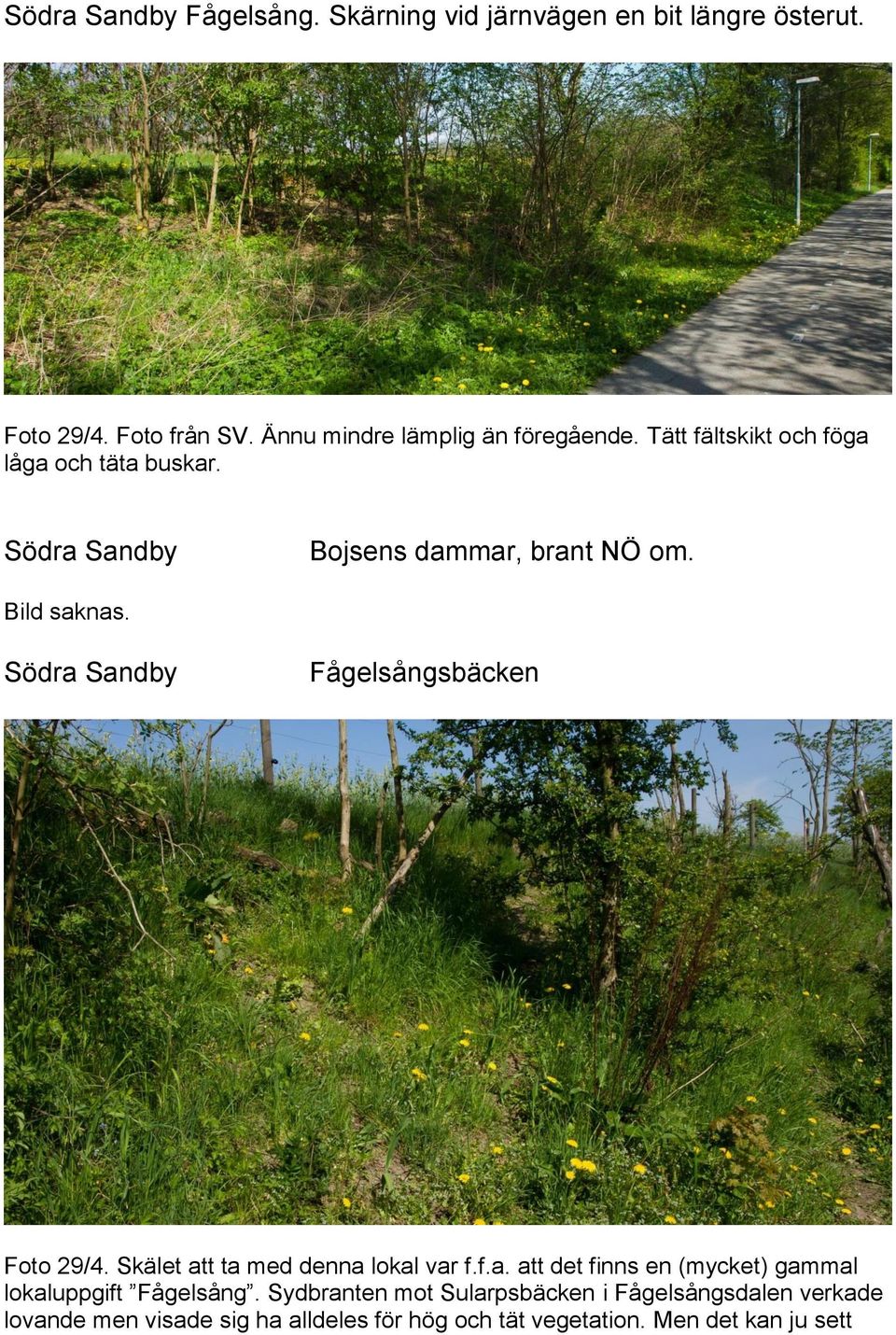 Bild saknas. Södra Sandby Fågelsångsbäcken Foto 29/4. Skälet att ta med denna lokal var f.f.a. att det finns en (mycket) gammal lokaluppgift Fågelsång.