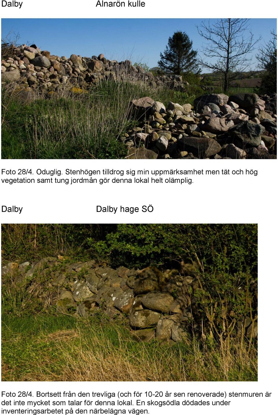 denna lokal helt olämplig. Dalby Dalby hage SÖ Foto 28/4.
