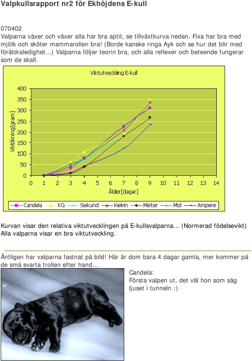 ..) Valparna följer teorin bra, och alla reflexer och beteende fungerar som de skall. Kurvan visar den relativa viktutvecklingen på E-kullsvalparna.