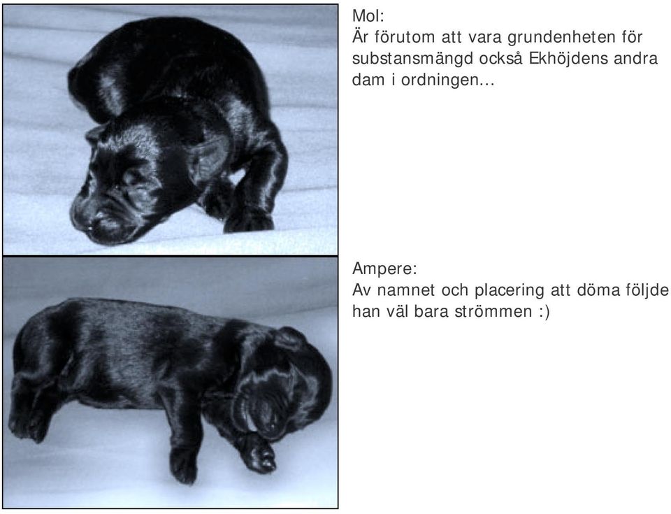ordningen.