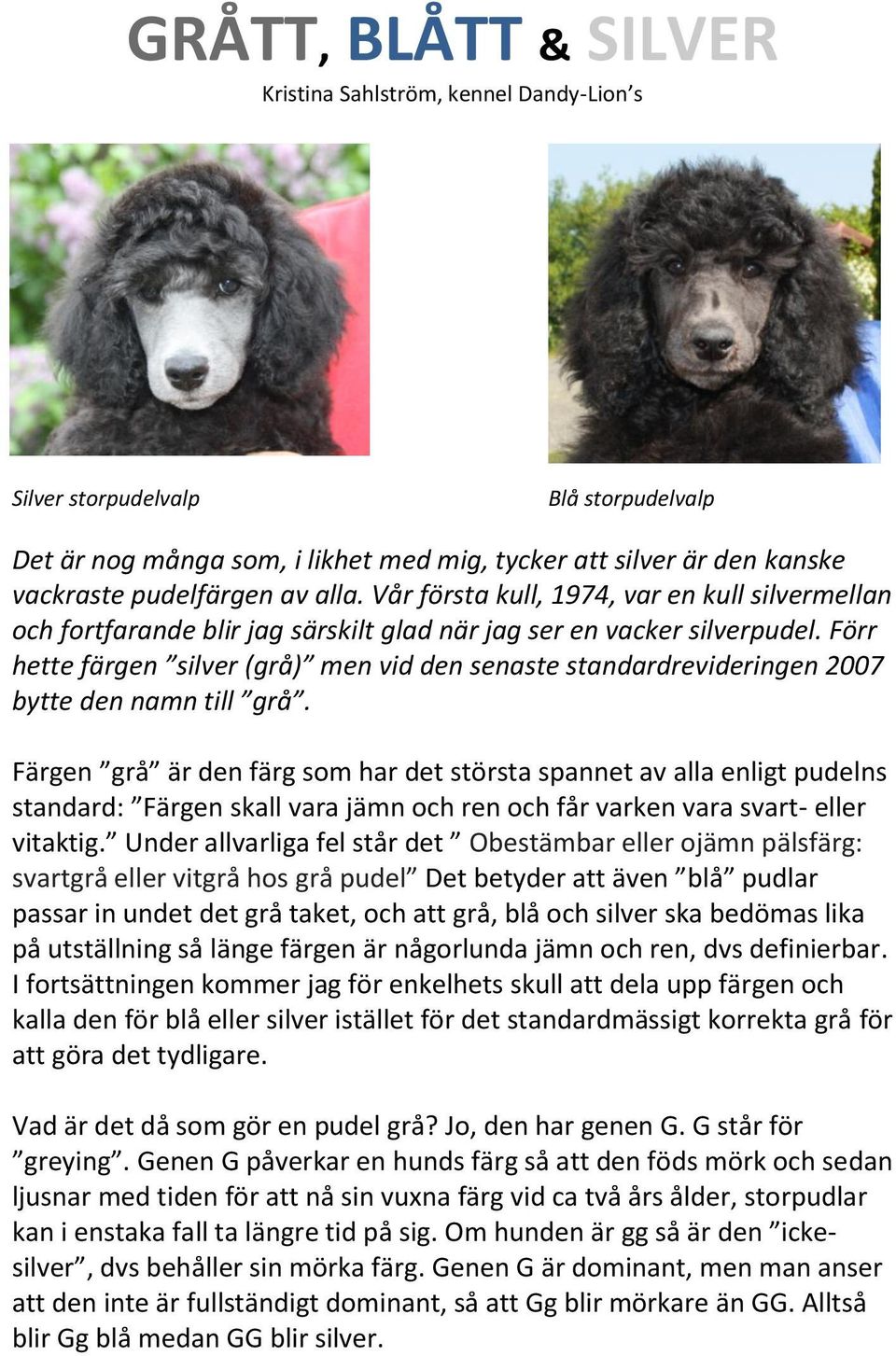 Förr hette färgen silver (grå) men vid den senaste standardrevideringen 2007 bytte den namn till grå.