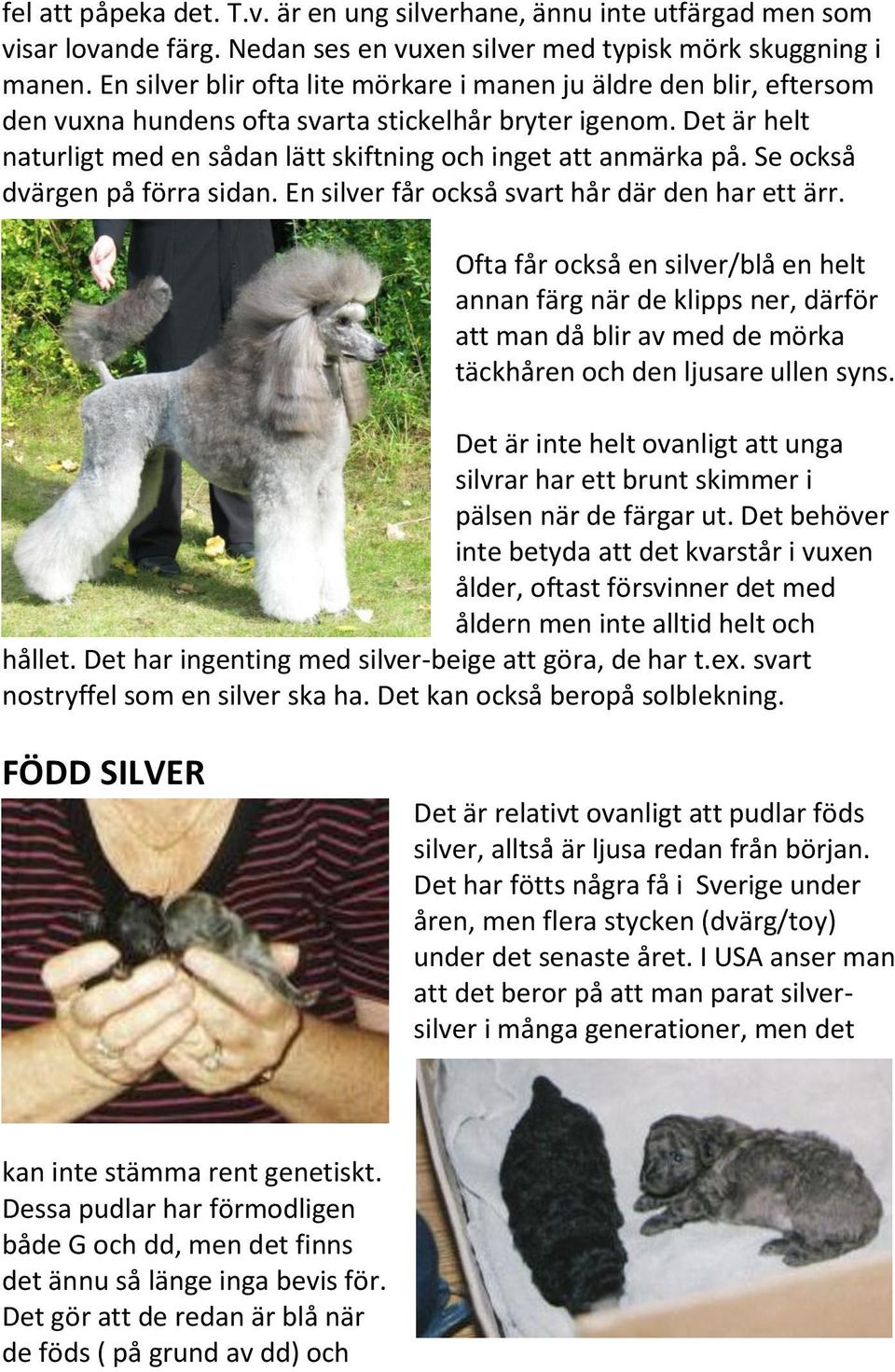 Se också dvärgen på förra sidan. En silver får också svart hår där den har ett ärr.