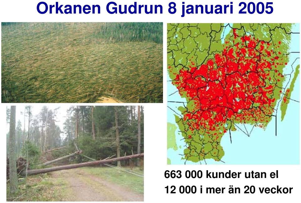 12 000 i mer än 20 veckor